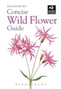 Cover: Concise Wild Flower Guide - Bloomsbury Natural History