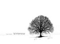 Cover: Winterreise D 911 - Laaber-Verlag