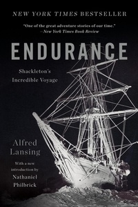 Abbildung von: Endurance - Basic Books