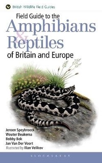 Abbildung von: Field Guide to the Amphibians and Reptiles of Britain and Europe - Bloomsbury Natural History