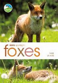 Enlarge image Cover: RSPB Spotlight: Foxes - Bloomsbury Natural History