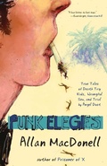 Cover: Punk Elegies - Rare Bird Books