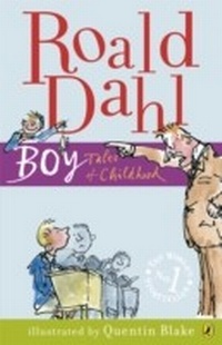 Abbildung von: Boy - Puffin