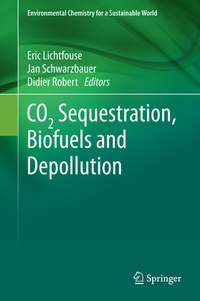 Abbildung von: CO2 Sequestration, Biofuels and Depollution - Springer