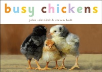 Abbildung von: Busy Chickens - Random House Children's Books