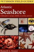Cover: Atlantic Seashore - Guide Books