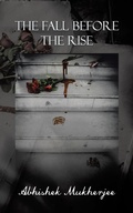 Cover: The Fall Before the Rise - Partridge Publishing