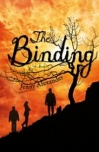 Enlarge image Cover: The Binding - A & C Black (Childrens books)