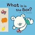 Cover: What Is in the Box? - Big & Small