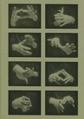 Cover: Joachim Koester: Of Spirits and Empty Spaces - Mousse Publishing