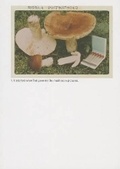 Cover: Jason Fulford - the Mushroom Collector - The Soon Institute