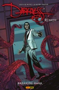 Cover: Darkness - Rebirth 2: Breaking Dark - Panini Verlags GmbH