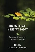 Cover: Transitional Ministry Today - Alban Institute, Inc
