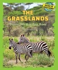 Cover: The Grasslands - Enslow Publishing