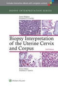 Cover: Biopsy Interpretation of the Uterine Cervix and Corpus - Lippincott Williams and Wilkins
