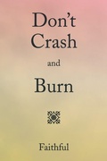 Cover: Don't Crash and Burn - Xlibris