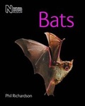 Cover: Bats - The Natural History Museum