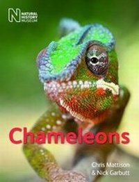 Enlarge image Cover: Chameleons - The Natural History Museum