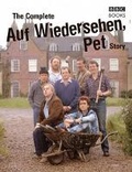 Cover: The Complete Auf Wiedersehen Pet Story - BBC Books