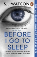 Cover: Before I Go To Sleep - Black Swan