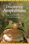 Cover: Discovering Amphibians - Down East Books