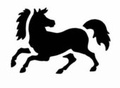 Cover: Fun with Ponies Stencils - Dover Publications Inc.
