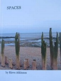 Enlarge image Cover: Spaces - Gaudy Prawn Press
