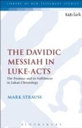 Cover: The Davidic Messiah in Luke-Acts - Sheffield Academic Press