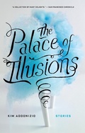 Cover: The Palace of Illusions - Soft Skull