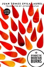 Cover: By Night the Mountain Burns - And Other Stories