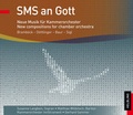 Cover: SMS an Gott - Helbling