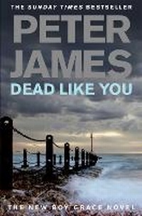 Abbildung von: Dead Like You - Pan Books