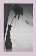 Cover: I Love Roses When They're Past Their Best - Test Centre