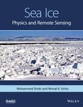 Cover: Sea Ice - American Geophysical Union