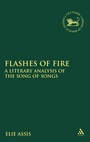 Cover: Flashes of Fire - T.& T.Clark Ltd