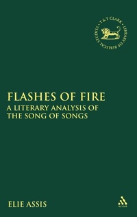 Enlarge image Cover: Flashes of Fire - T.& T.Clark Ltd