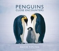 Enlarge image Cover: Penguins - Bloomsbury Natural History