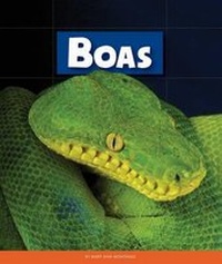 Enlarge image Cover: Boas - Child's World