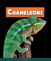 Enlarge image Cover: Chameleons - Child's World