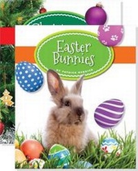 Enlarge image Cover: Our Holiday Symbols (Set) - Child's World
