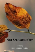 Cover: Not Springtime Yet - HarperCollins