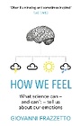 Cover: How We Feel - Black Swan