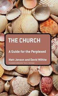 Enlarge image Cover: The Church: A Guide for the Perplexed - T.& T.Clark Ltd