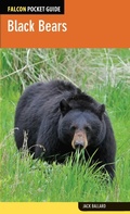 Cover: Black Bears - Falcon Press Publishing
