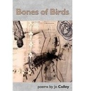 Cover: Bones of Birds - Smokestack Books