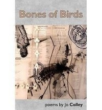 Enlarge image Cover: Bones of Birds - Smokestack Books