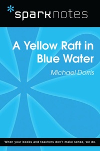 Enlarge image Cover: Yellow Raft in Blue Water (SparkNotes Literature Guide) - Union Square & Co.