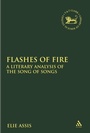 Cover: Flashes of Fire - T.& T.Clark Ltd