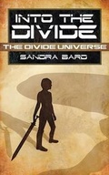 Cover: Into the Divide - Less Than Three Press