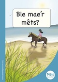 Cover: Mets Maesllan: Ble Mae'r Mets? - Canolfan Peniarth
